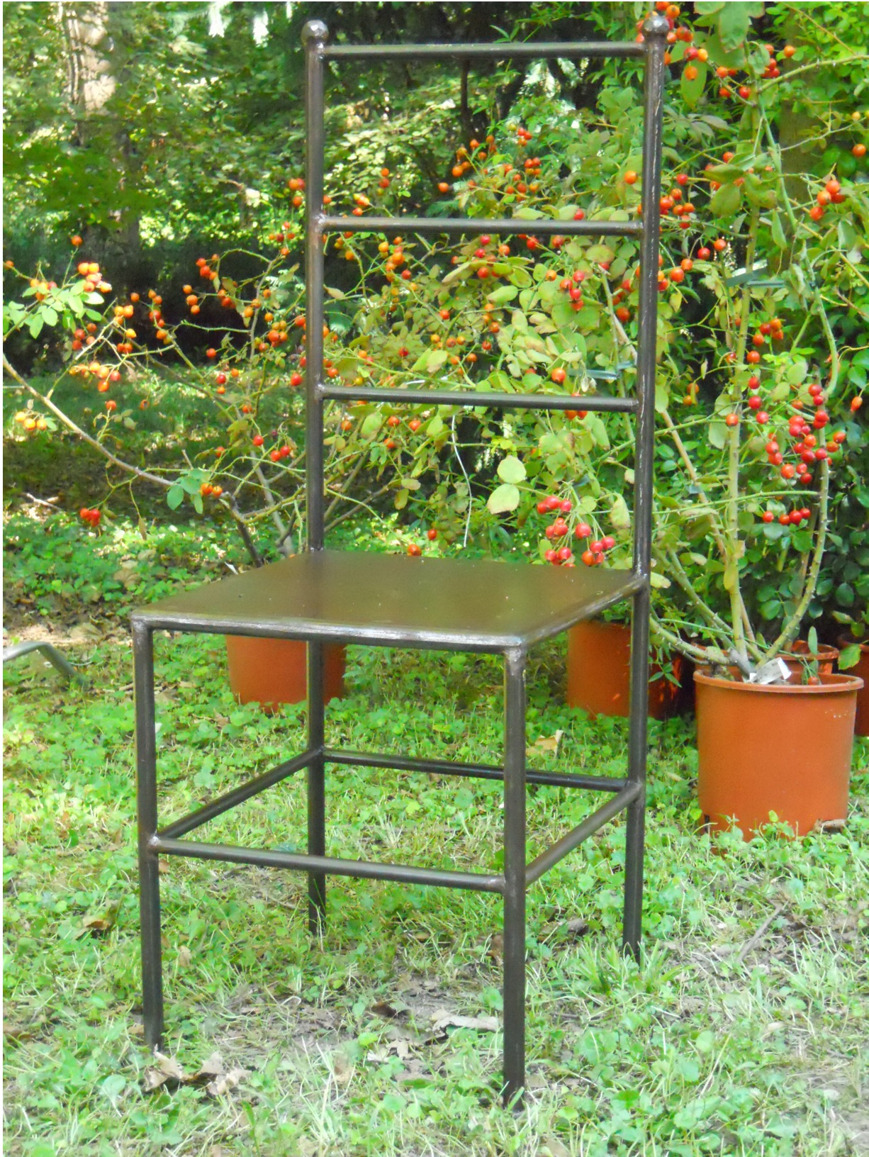 Sedia classic